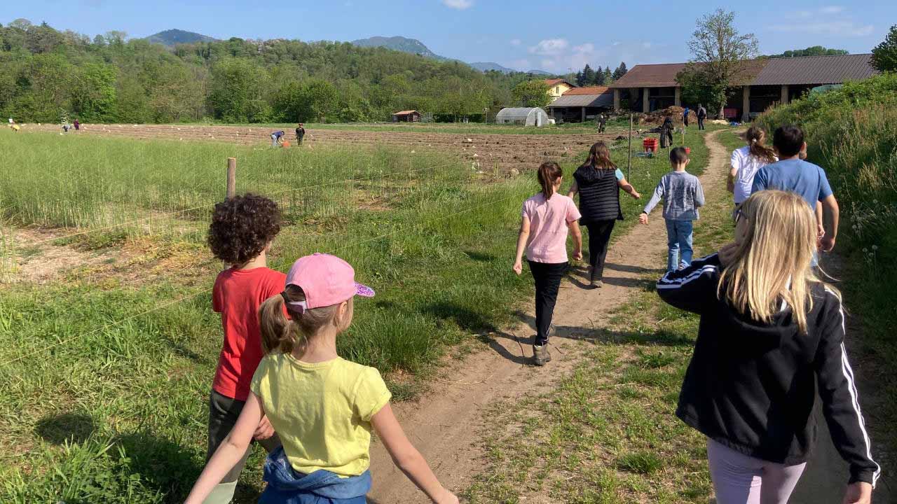 A Spasso nella Bevera: passeggiata da Cantello